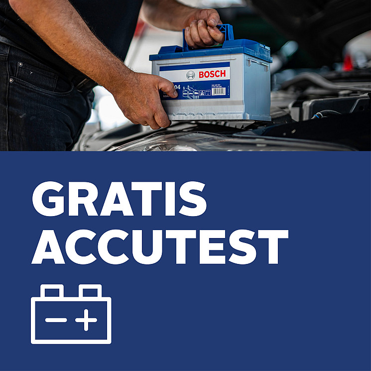 Carteam Auto Dijkwel